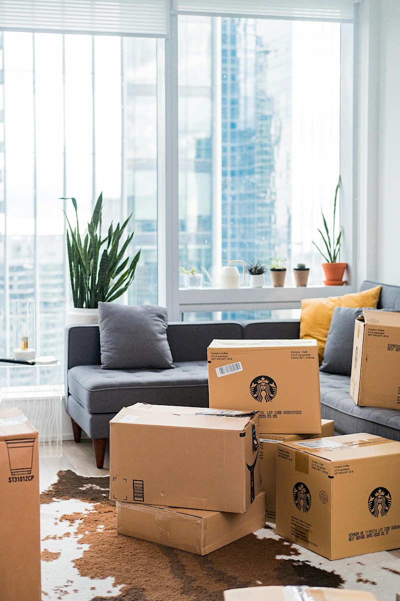 House Clearance in Cranbrook